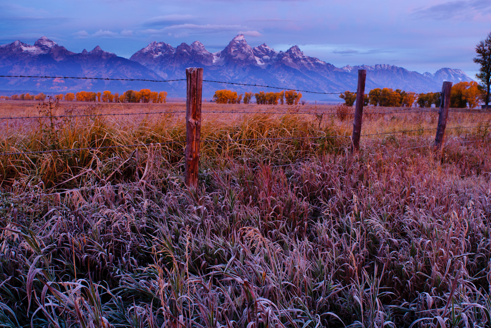 Gran Tetons at dawn. Jackson hole, Wyoming.