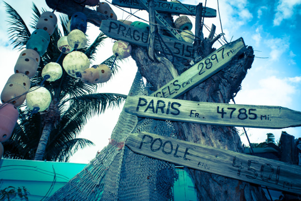 key west. city signs on tree